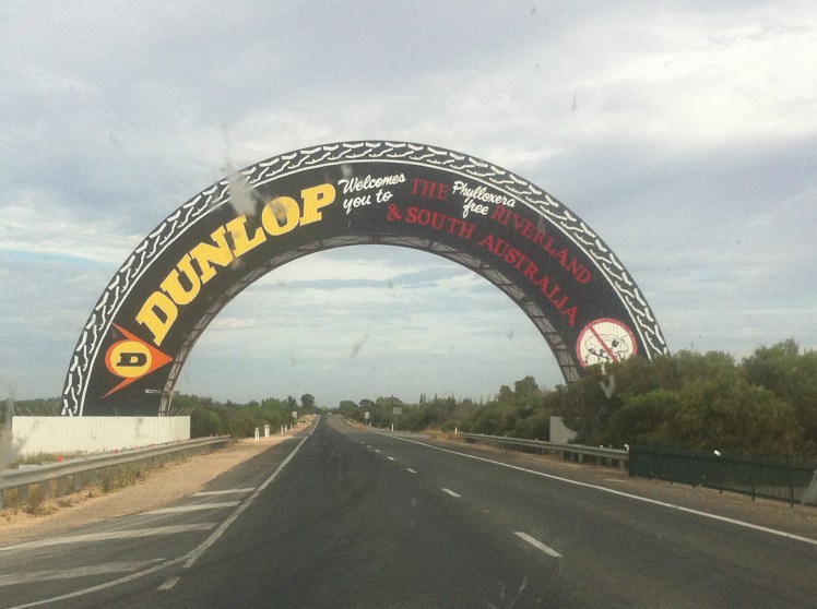 20150222_224705851_iOS