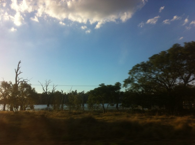 20150224_081802943_iOS