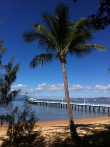 picnic bay magnetic island