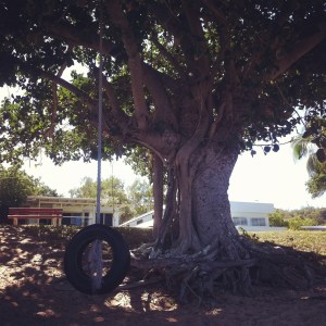 picnic bay magnetic island