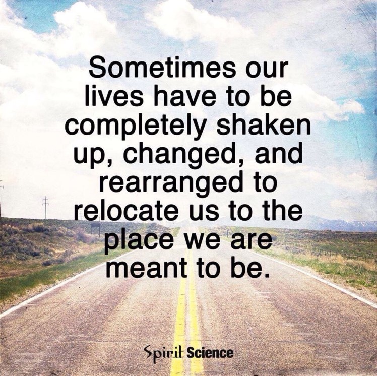 20151230_230535000_iOS