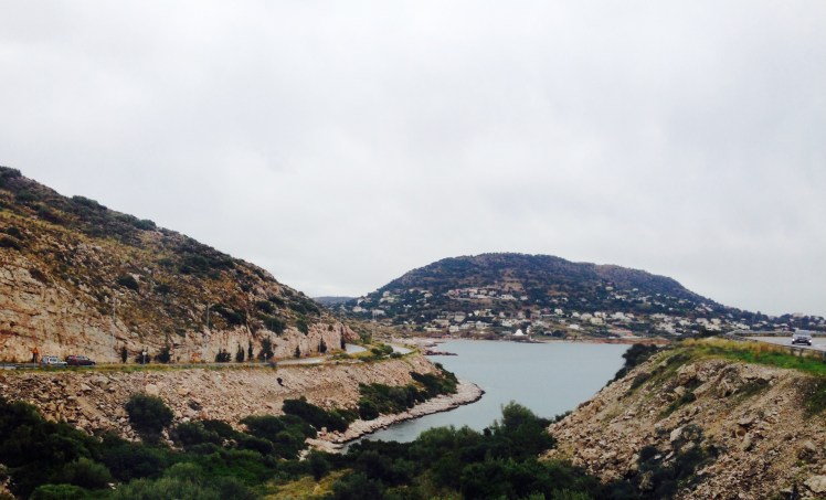 20160205_113229460_iOS