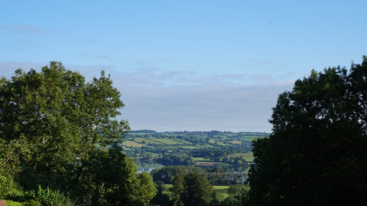 DSC01210