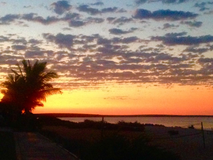 20161012_105437870_iOS 1.jpg